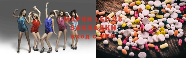 ECSTASY Богданович