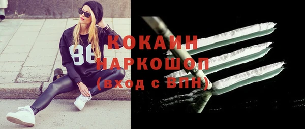 стафф Богородицк
