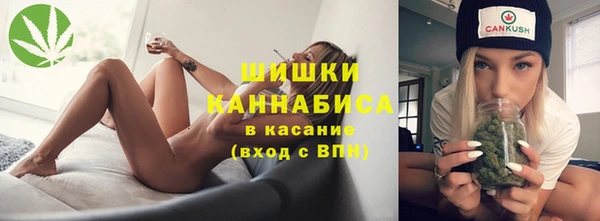 стафф Богородицк
