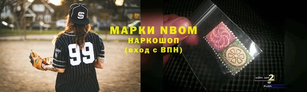 ECSTASY Богданович