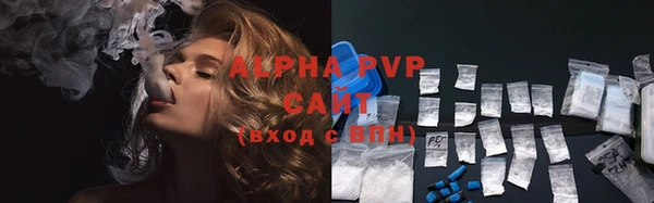 ECSTASY Богданович