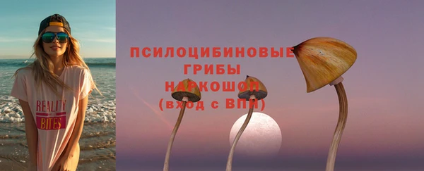 ECSTASY Богданович