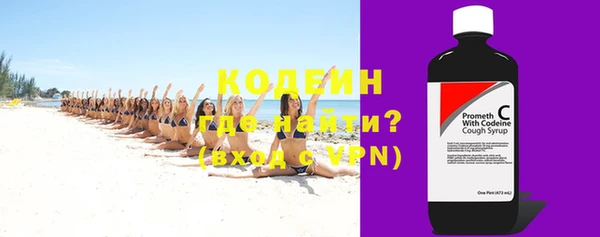 ECSTASY Богданович