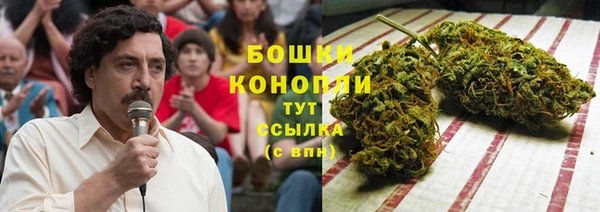 стафф Богородицк
