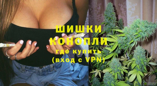 ECSTASY Богданович